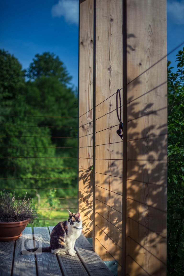 add picture to album