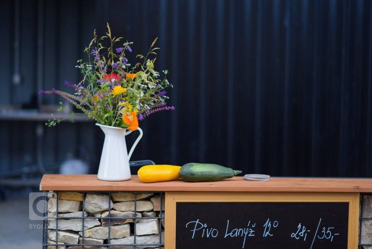 add picture to album