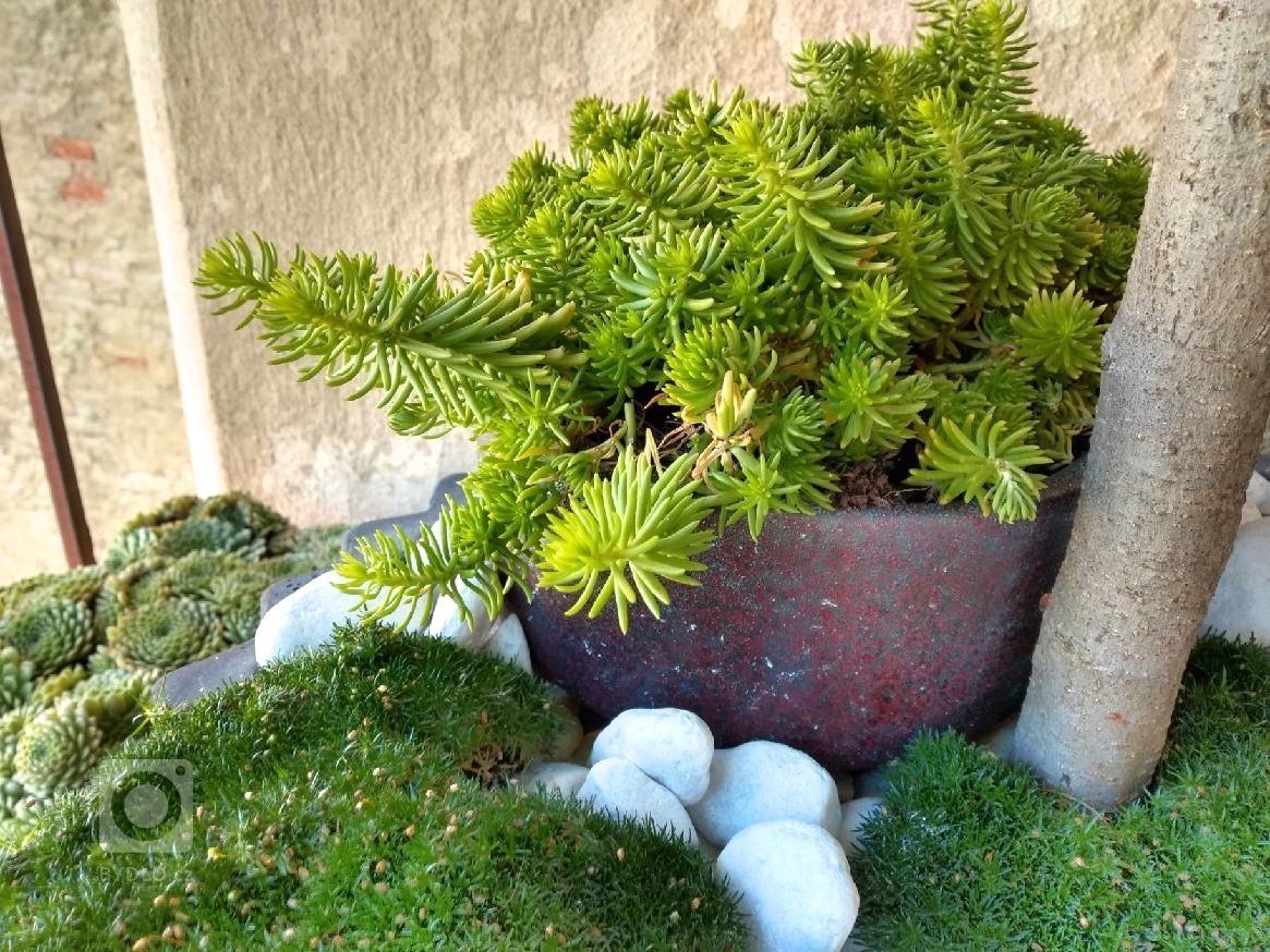 Starý malý balkonek, který si majitel přál zůtulnit
