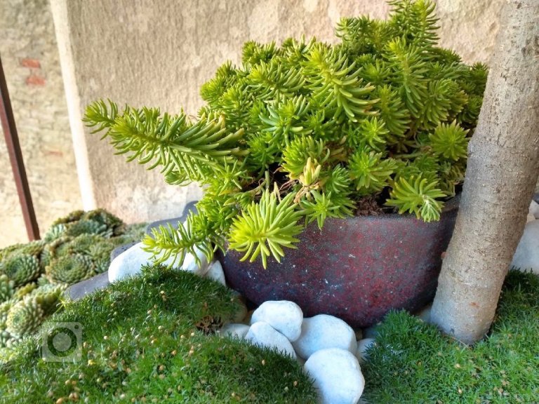 add picture to album