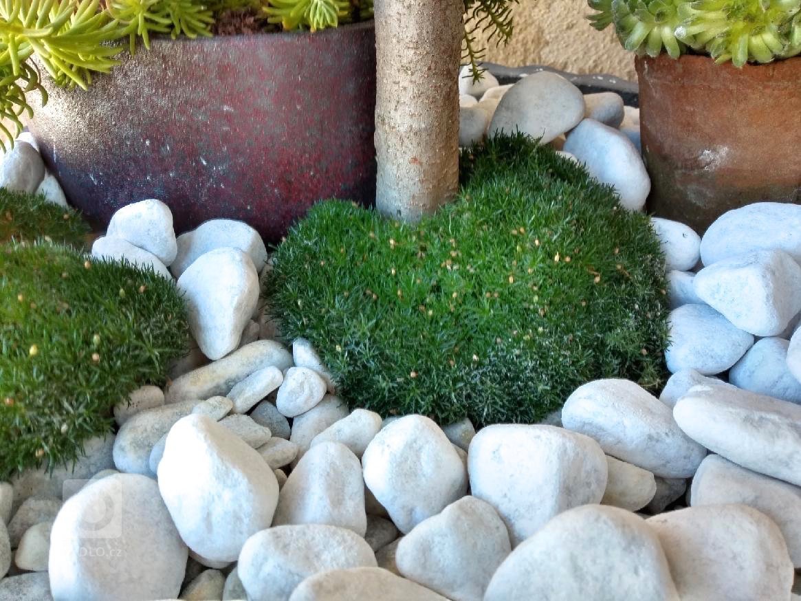 Starý malý balkonek, který si majitel přál zůtulnit
