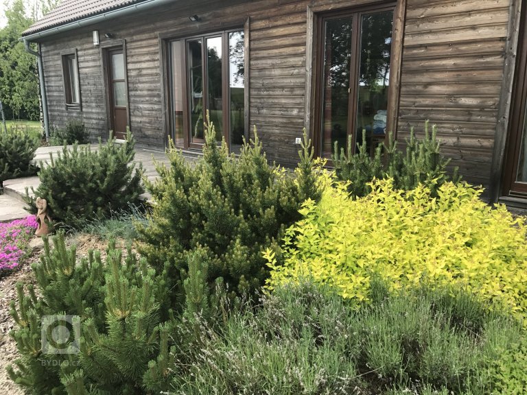 add picture to album