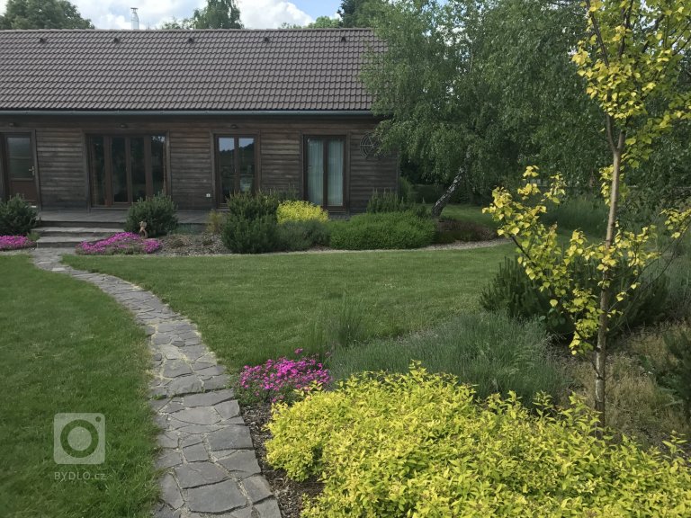 add picture to album