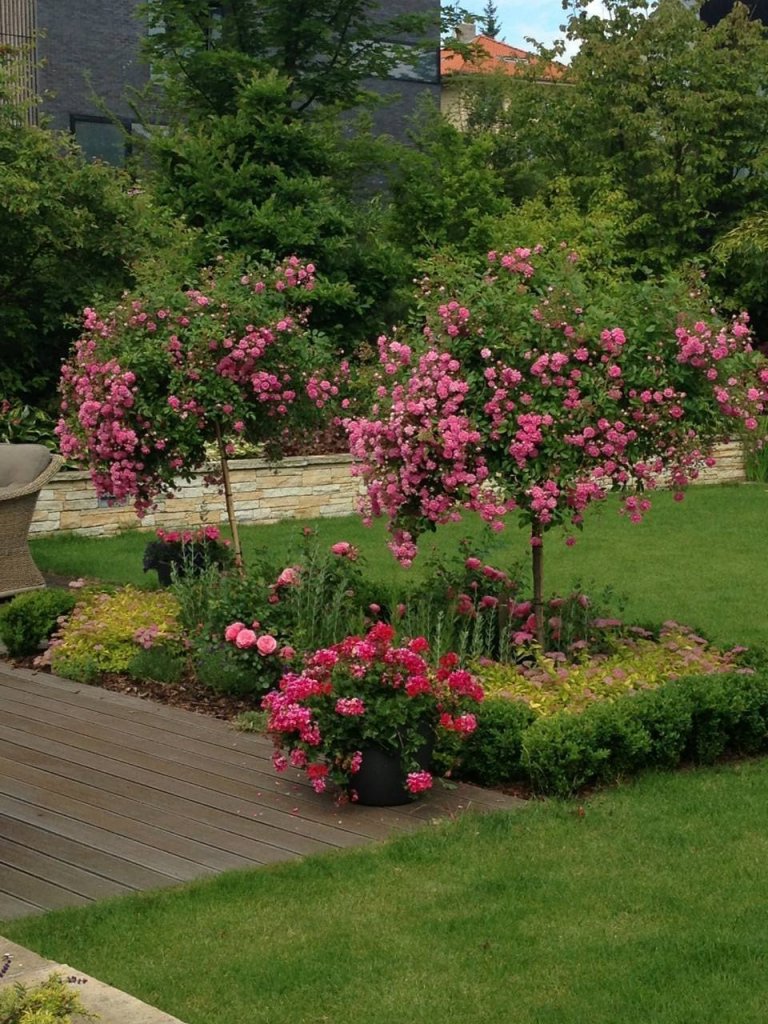 Romantickou zahradu plnou růží jsme vydupali ze země plné plevele, jedna z úžasných realizací našich zahrad.
