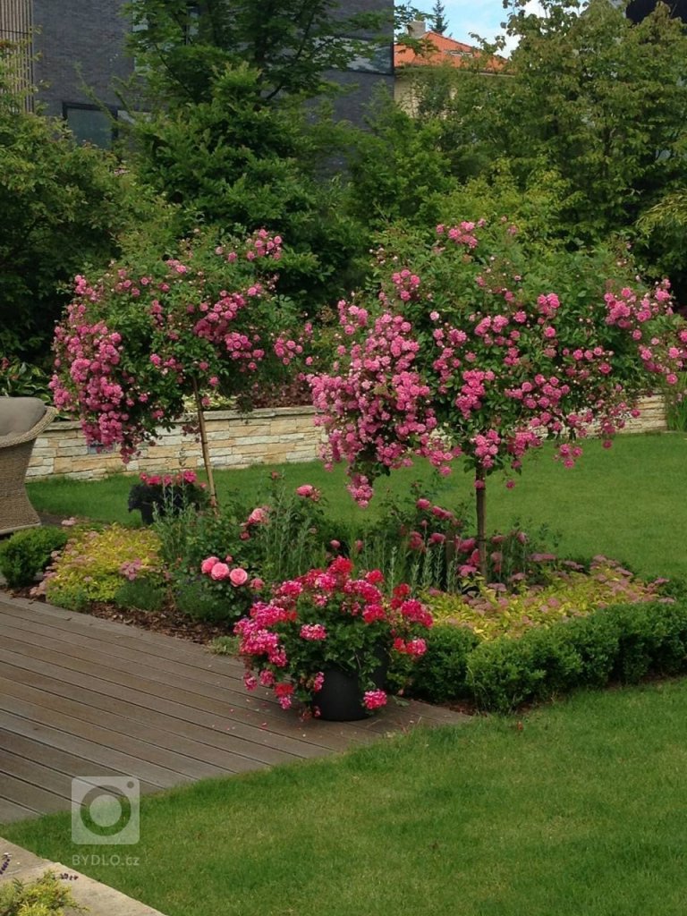 add picture to album