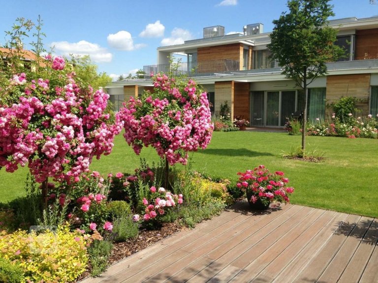 add picture to album