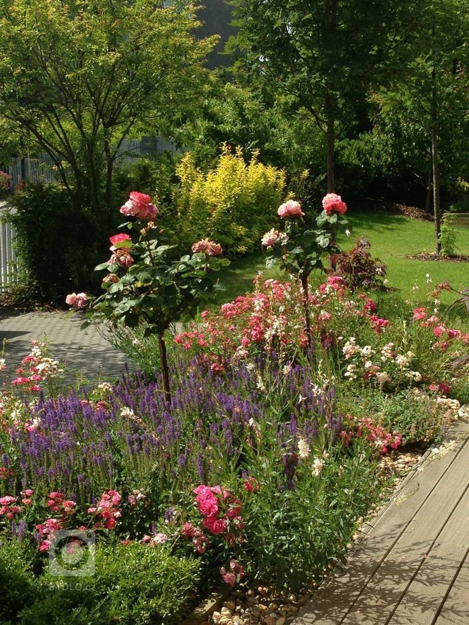 Romantickou zahradu plnou růží jsme vydupali ze země plné plevele, jedna z úžasných realizací našich zahrad.
