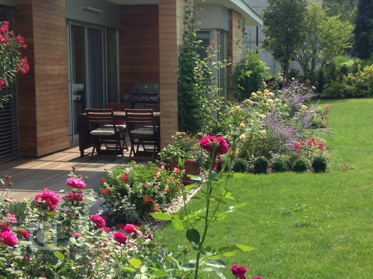 add picture to album