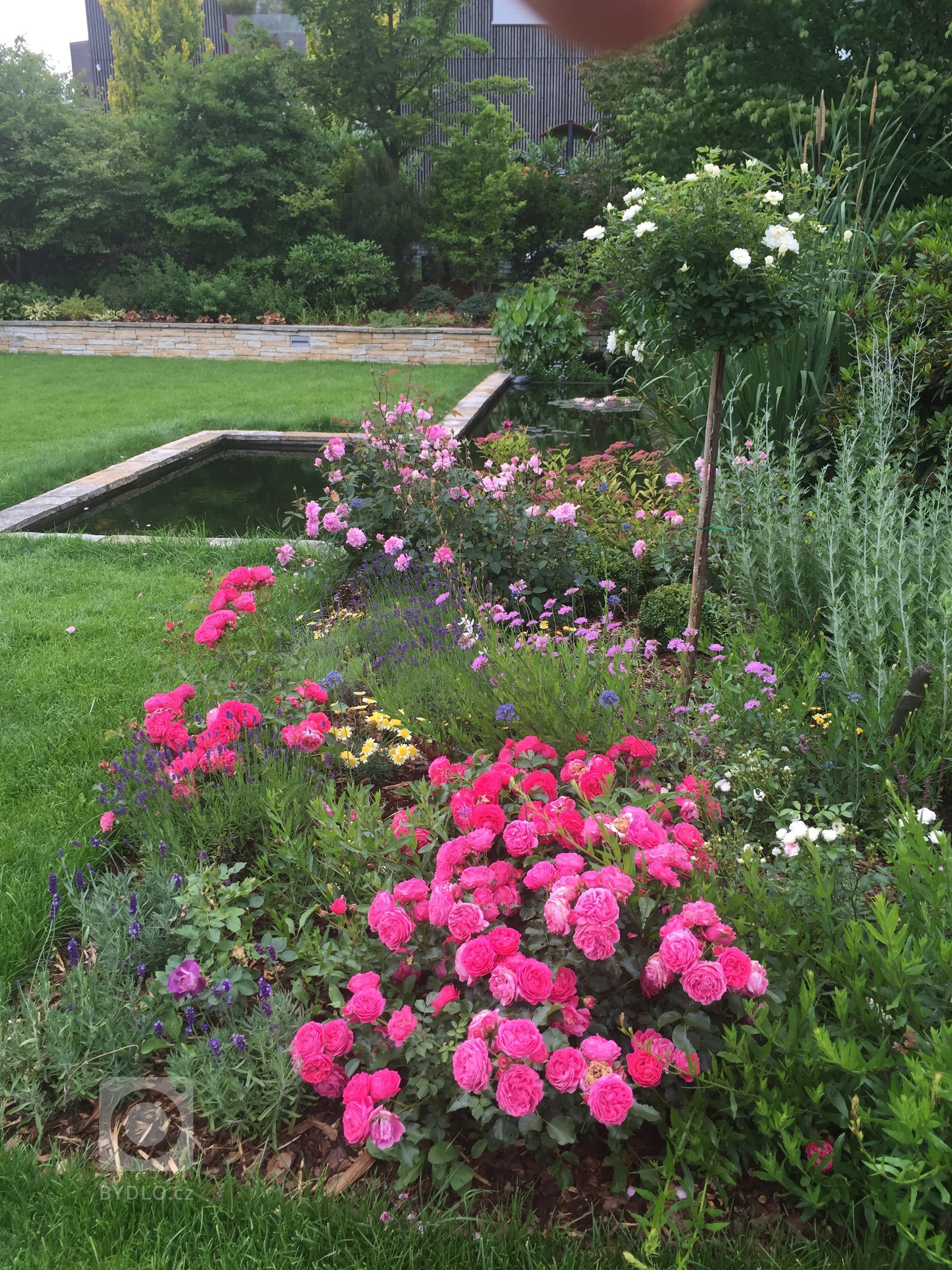 Romantickou zahradu plnou růží jsme vydupali ze země plné plevele, jedna z úžasných realizací našich zahrad.
