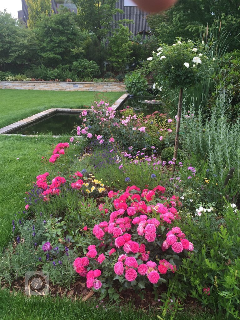 add picture to album