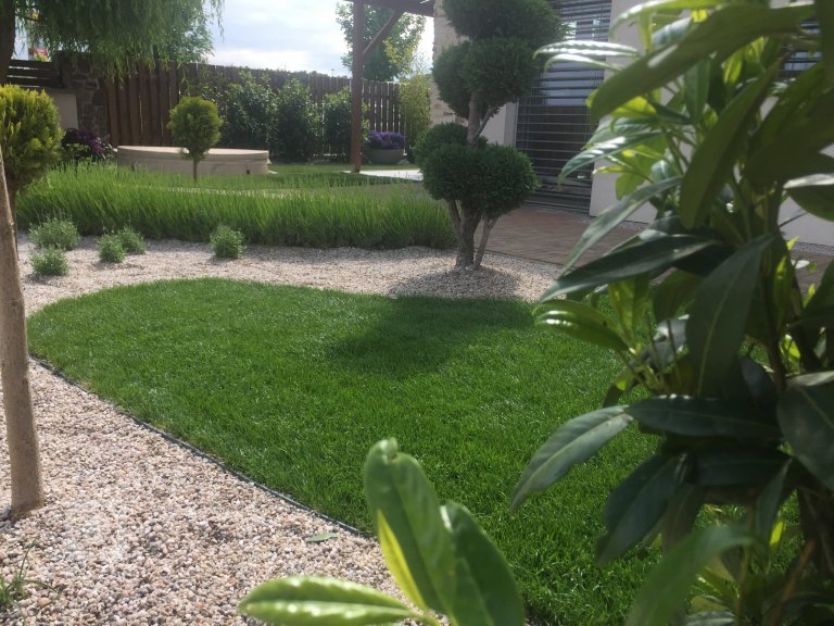 add picture to album