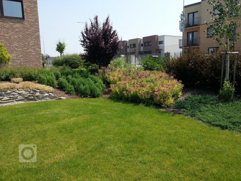 add picture to album