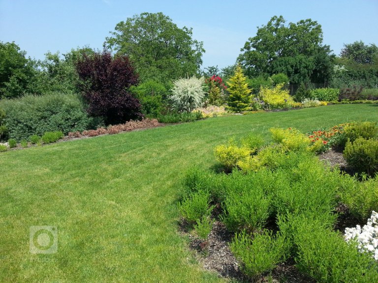 add picture to album