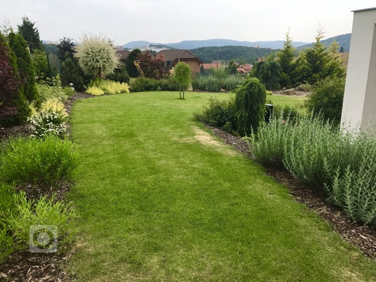 add picture to album