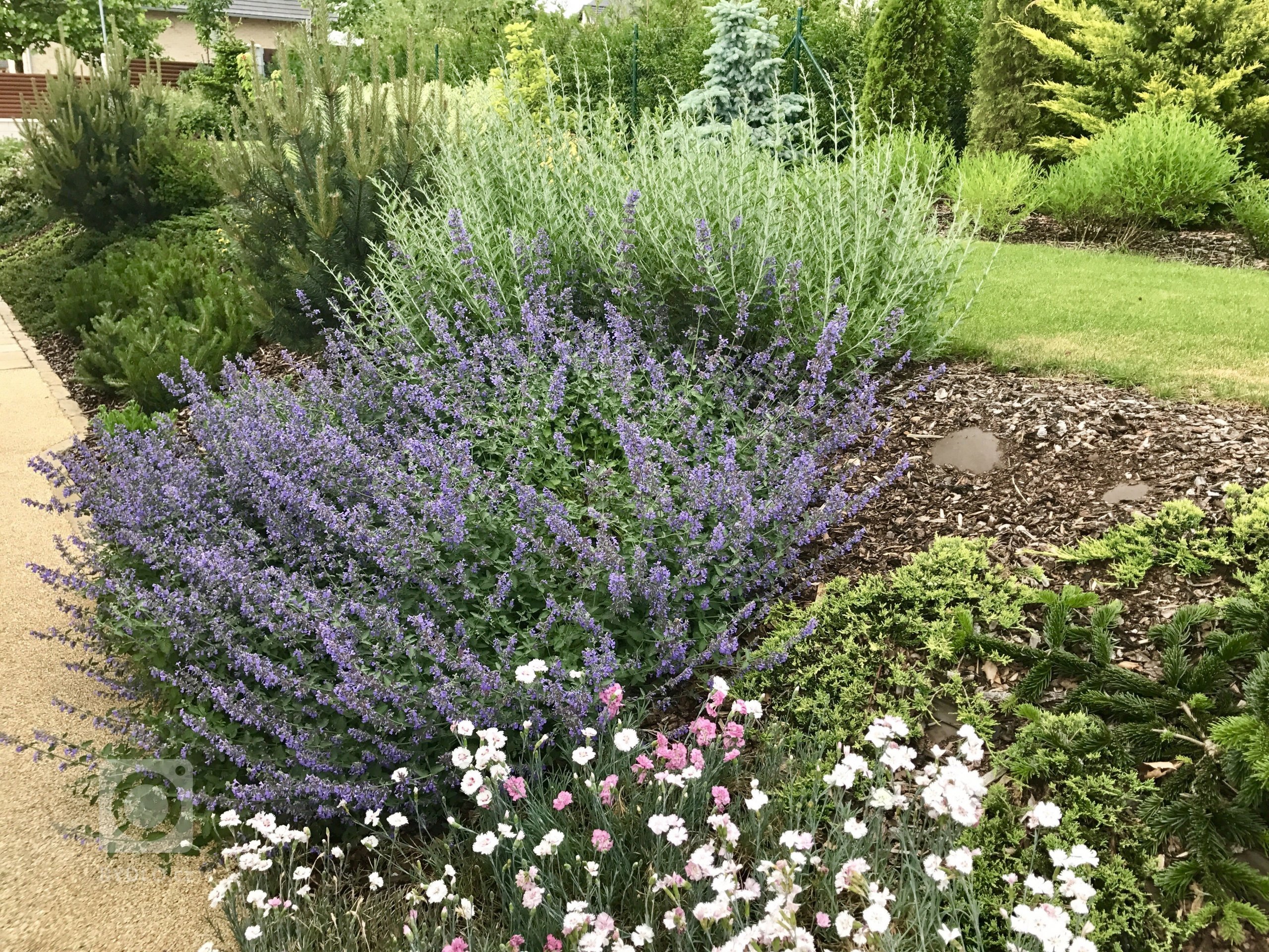 &nbsp;

Třetím rokem už zahrada roste do krásy
