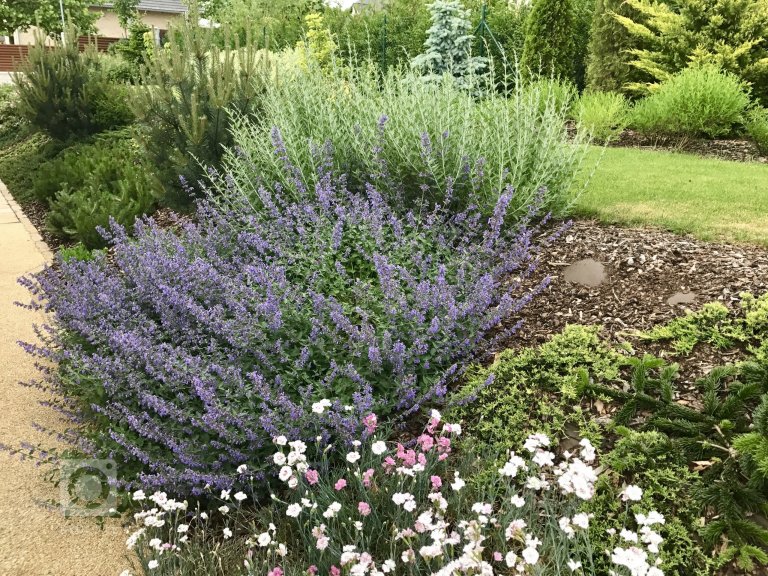 add picture to album