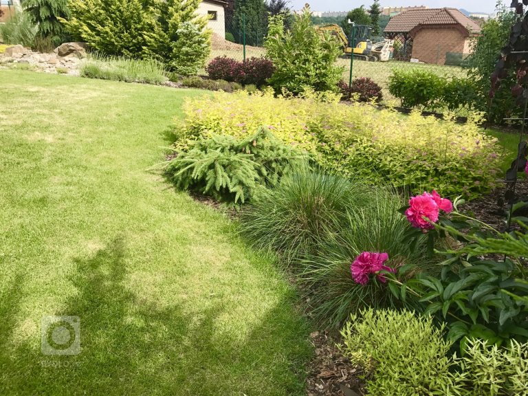 add picture to album