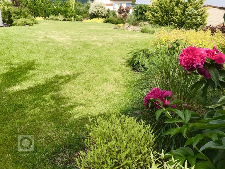 add picture to album