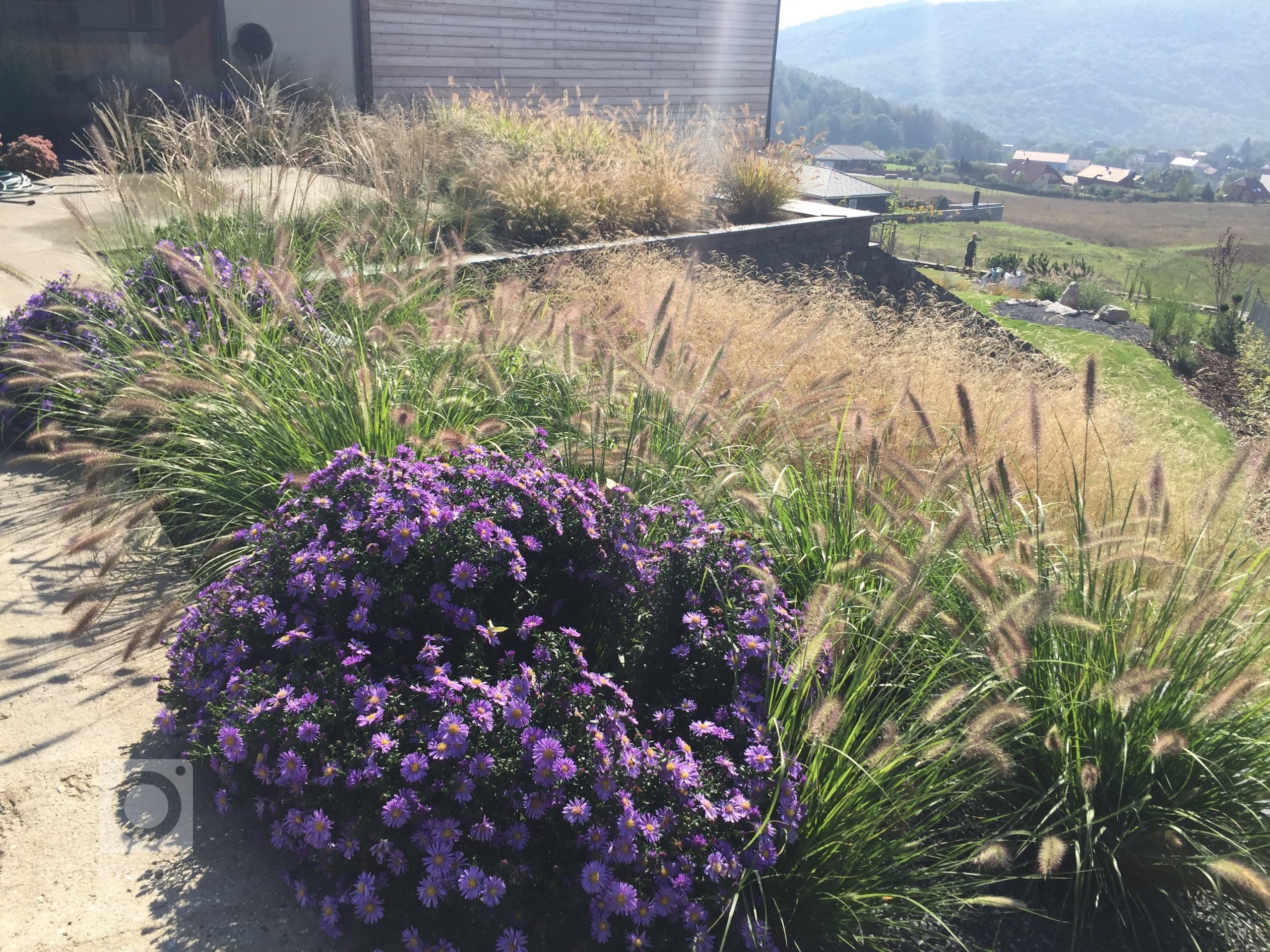 Okrasné traviny jsou stejně jako keře či květiny nezbytnou součástí zahradní kompozice a neměly by tedy chybět v žádné zahradě. Nevyžadují příliš péče a jsou…