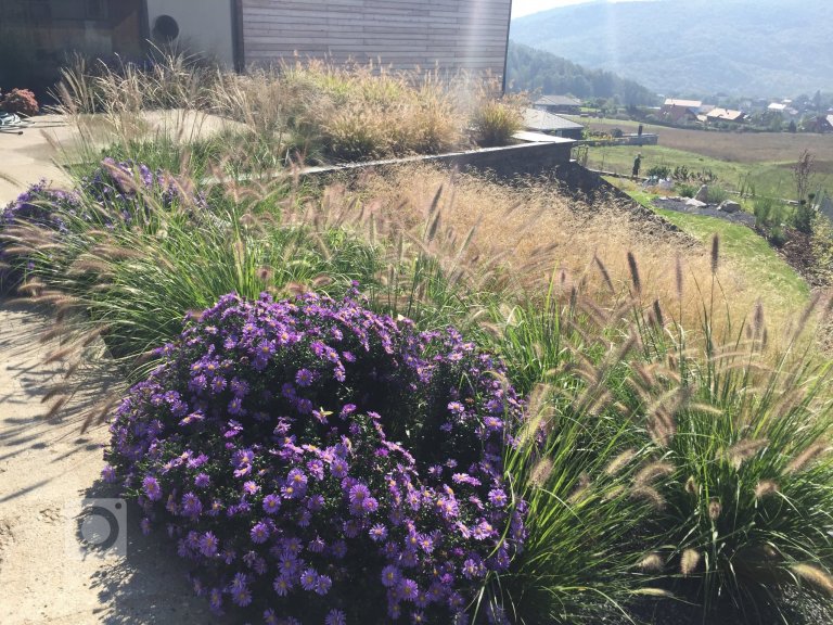 add picture to album