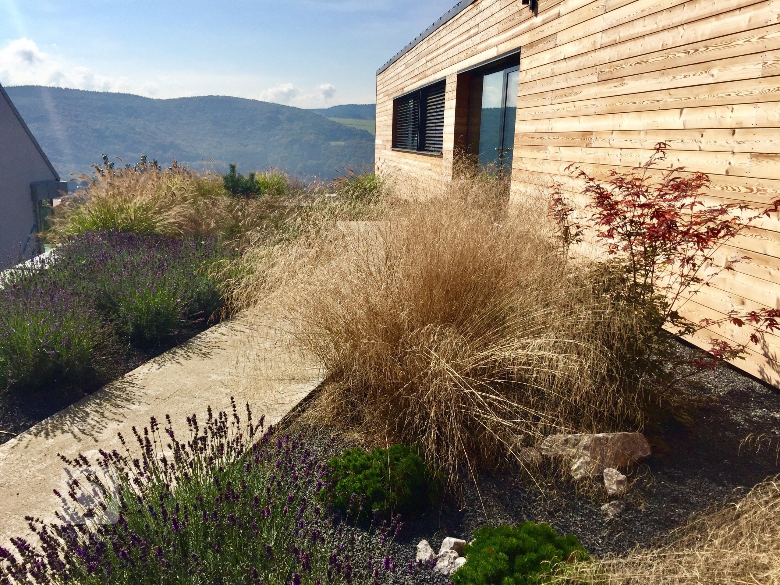 Okrasné traviny jsou stejně jako keře či květiny nezbytnou součástí zahradní kompozice a neměly by tedy chybět v žádné zahradě. Nevyžadují příliš péče a jsou…