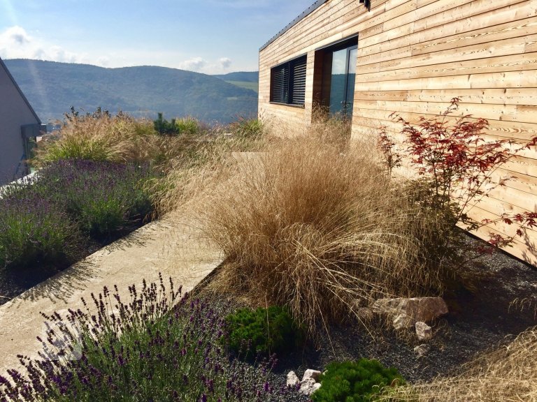 add picture to album