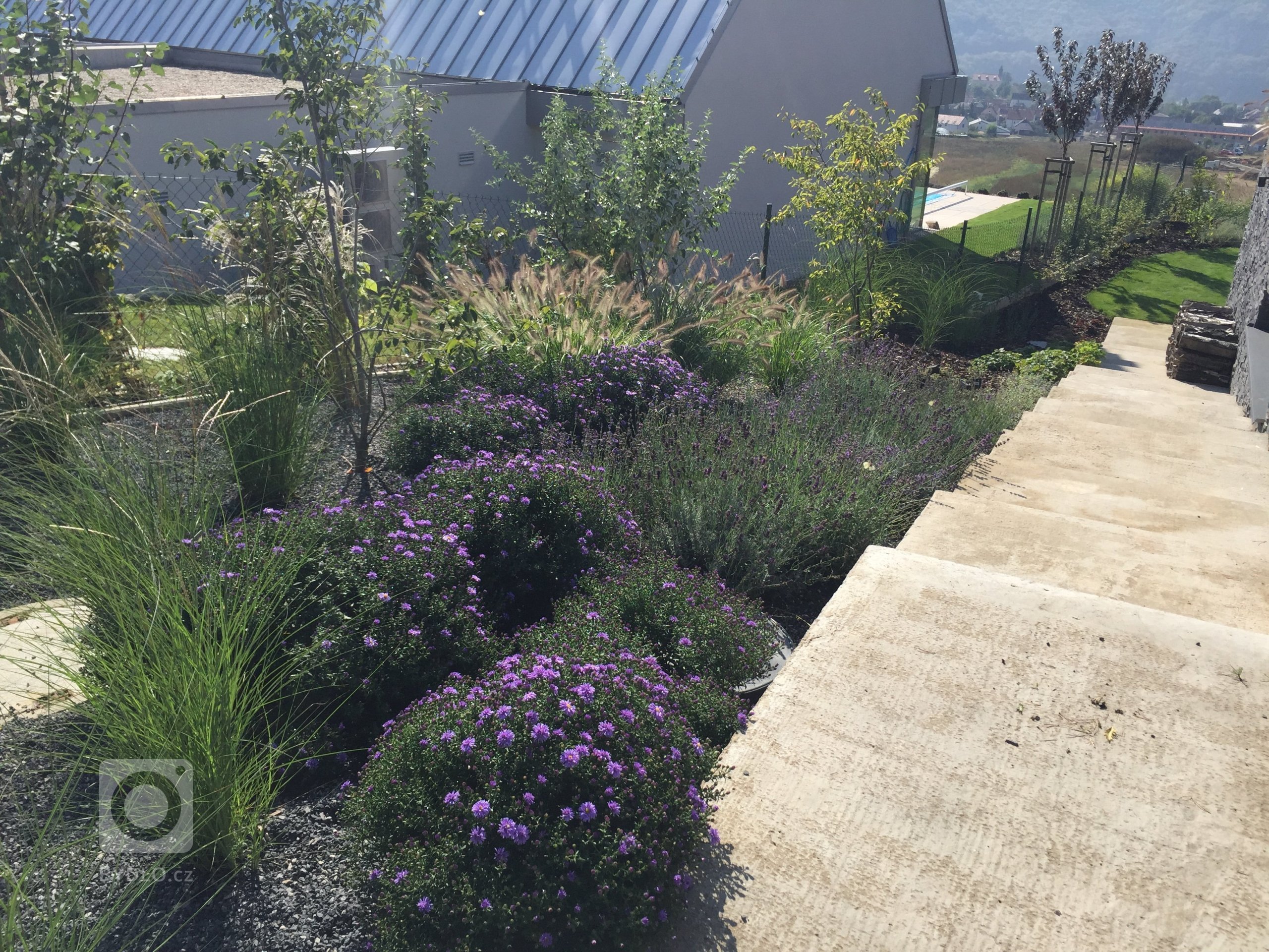 Okrasné traviny jsou stejně jako keře či květiny nezbytnou součástí zahradní kompozice a neměly by tedy chybět v žádné zahradě. Nevyžadují příliš péče a jsou…