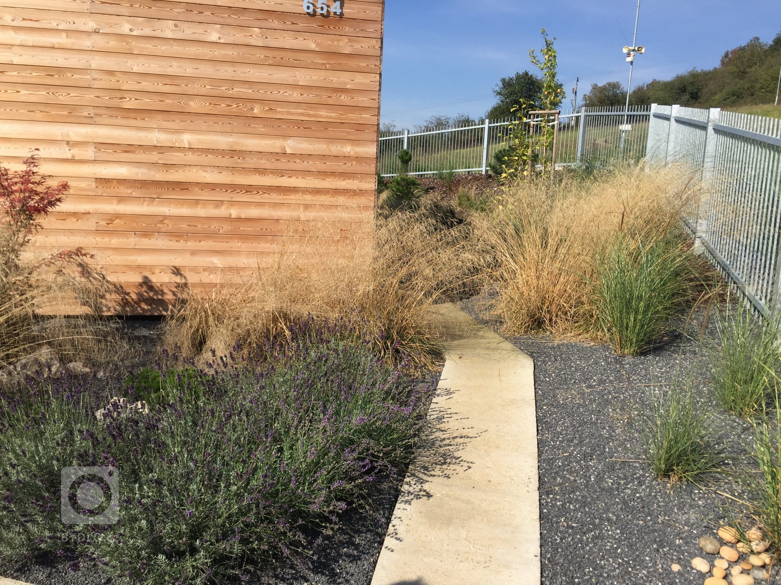 Okrasné traviny jsou stejně jako keře či květiny nezbytnou součástí zahradní kompozice a neměly by tedy chybět v žádné zahradě. Nevyžadují příliš péče a jsou…