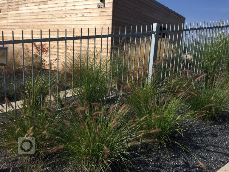 add picture to album