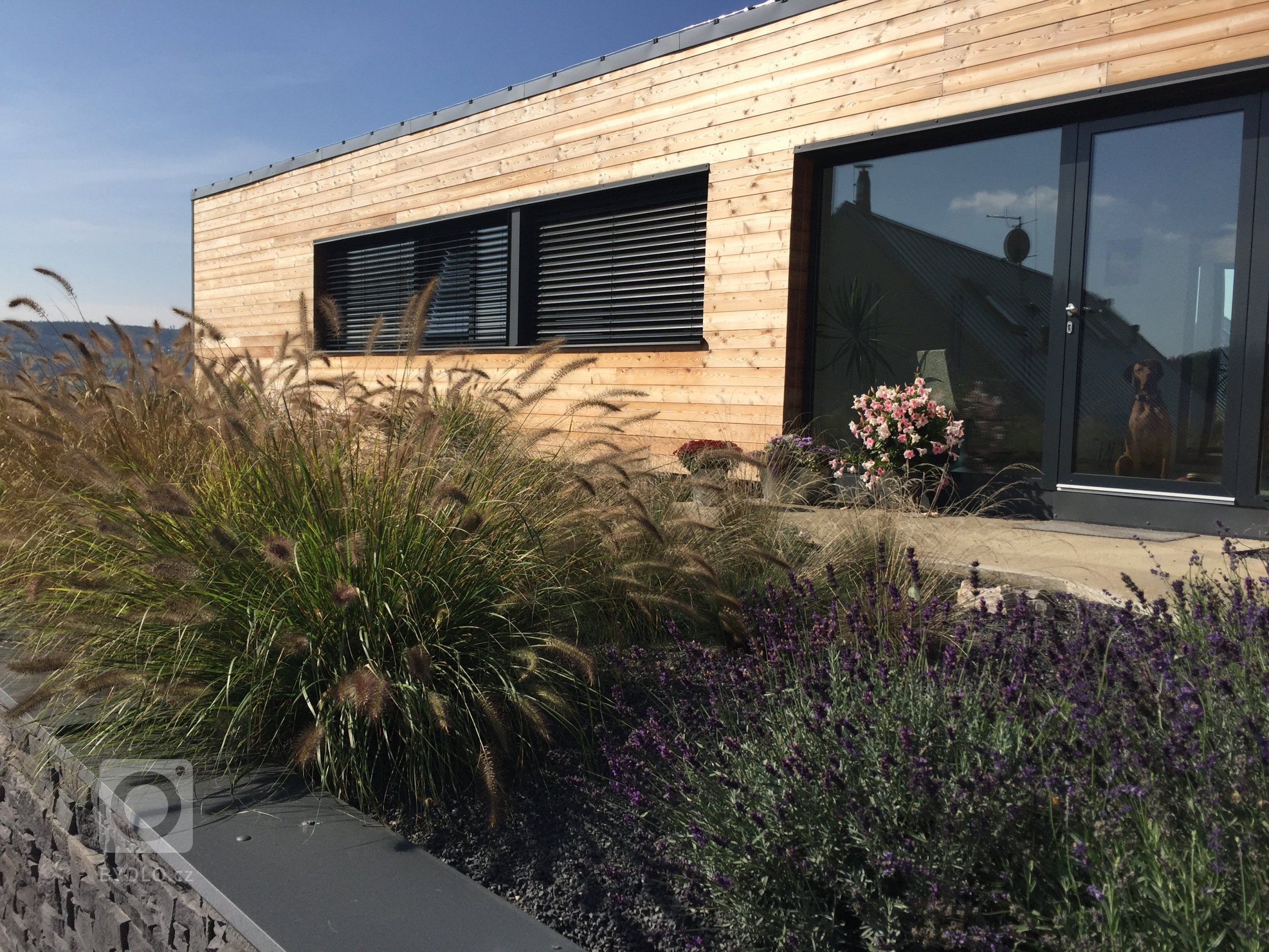 Okrasné traviny jsou stejně jako keře či květiny nezbytnou součástí zahradní kompozice a neměly by tedy chybět v žádné zahradě. Nevyžadují příliš péče a jsou…