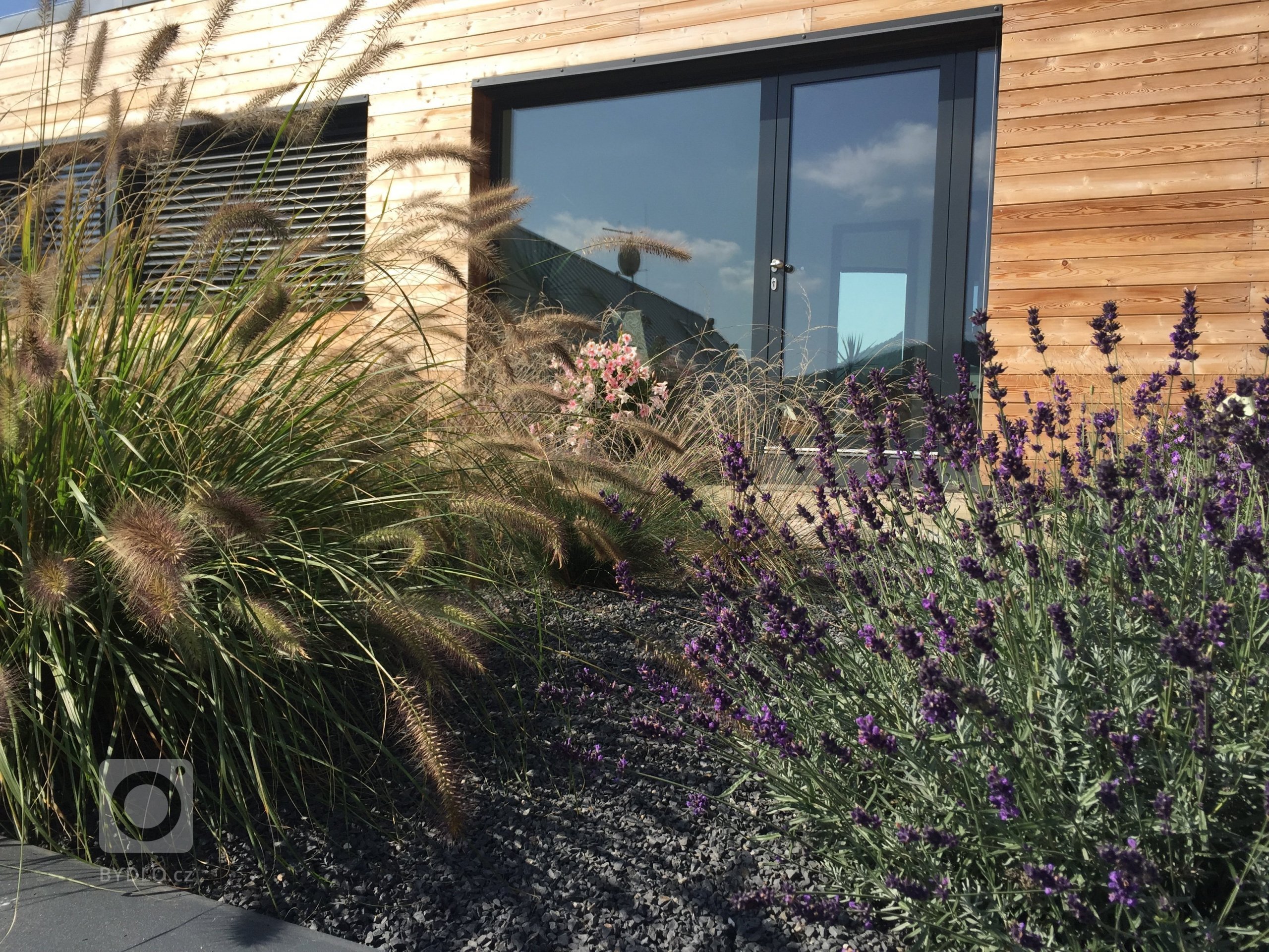 Okrasné traviny jsou stejně jako keře či květiny nezbytnou součástí zahradní kompozice a neměly by tedy chybět v žádné zahradě. Nevyžadují příliš péče a jsou…