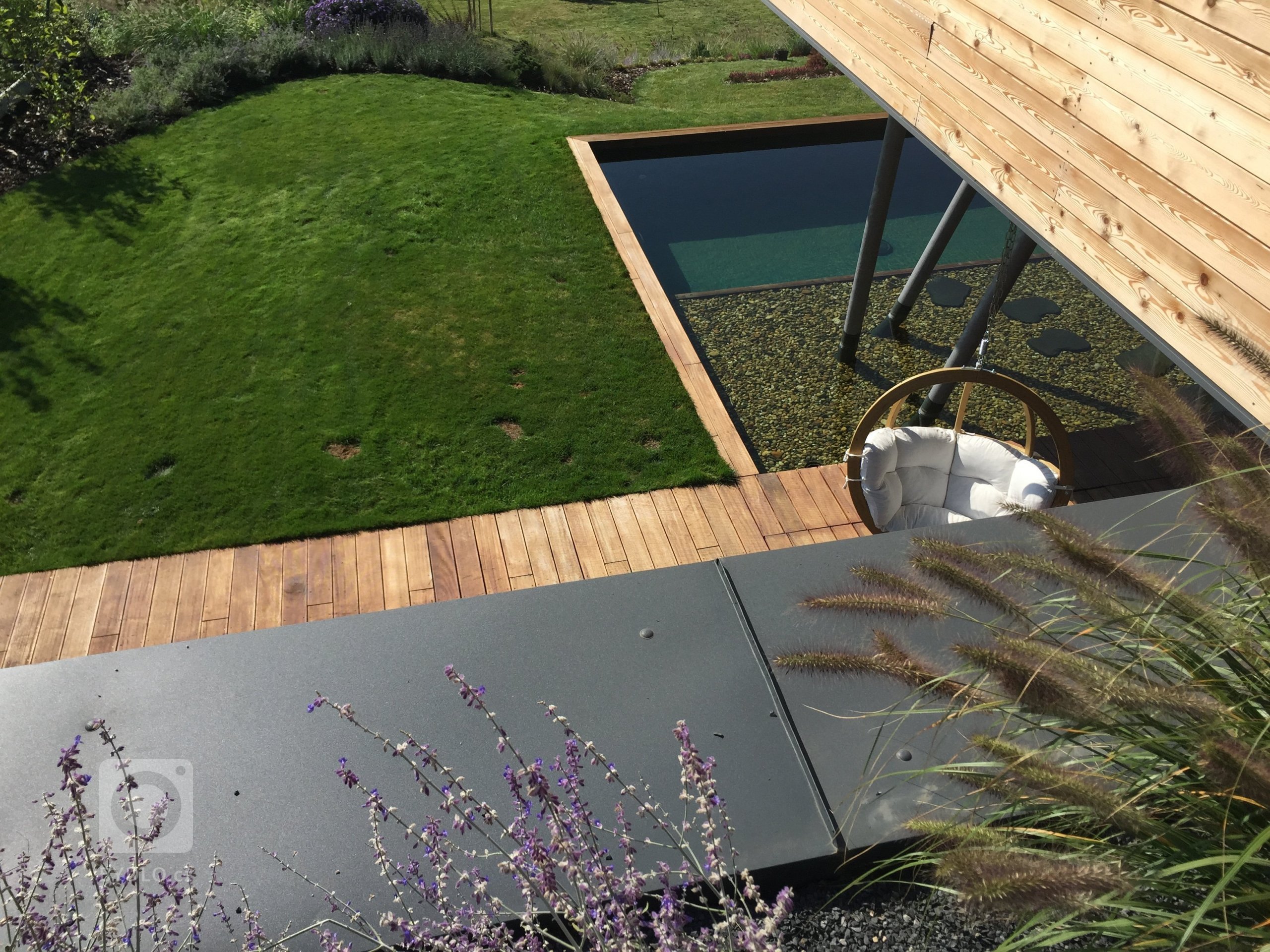 Okrasné traviny jsou stejně jako keře či květiny nezbytnou součástí zahradní kompozice a neměly by tedy chybět v žádné zahradě. Nevyžadují příliš péče a jsou…