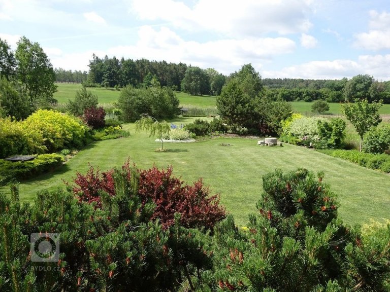 add picture to album