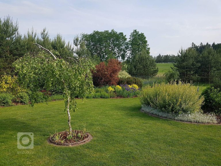 add picture to album