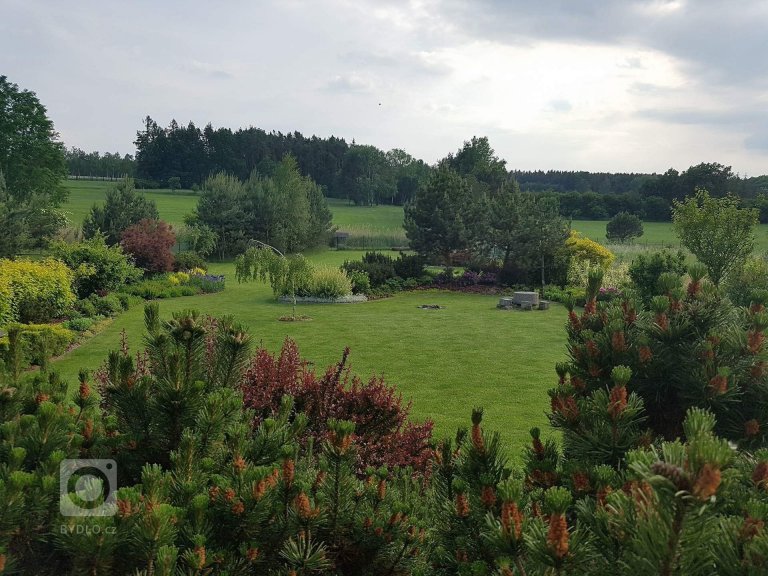 add picture to album