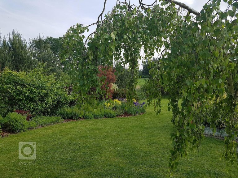 add picture to album