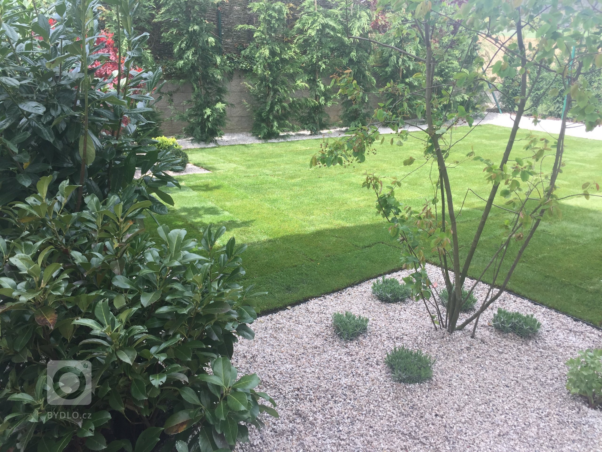 Mala moderni zahrada