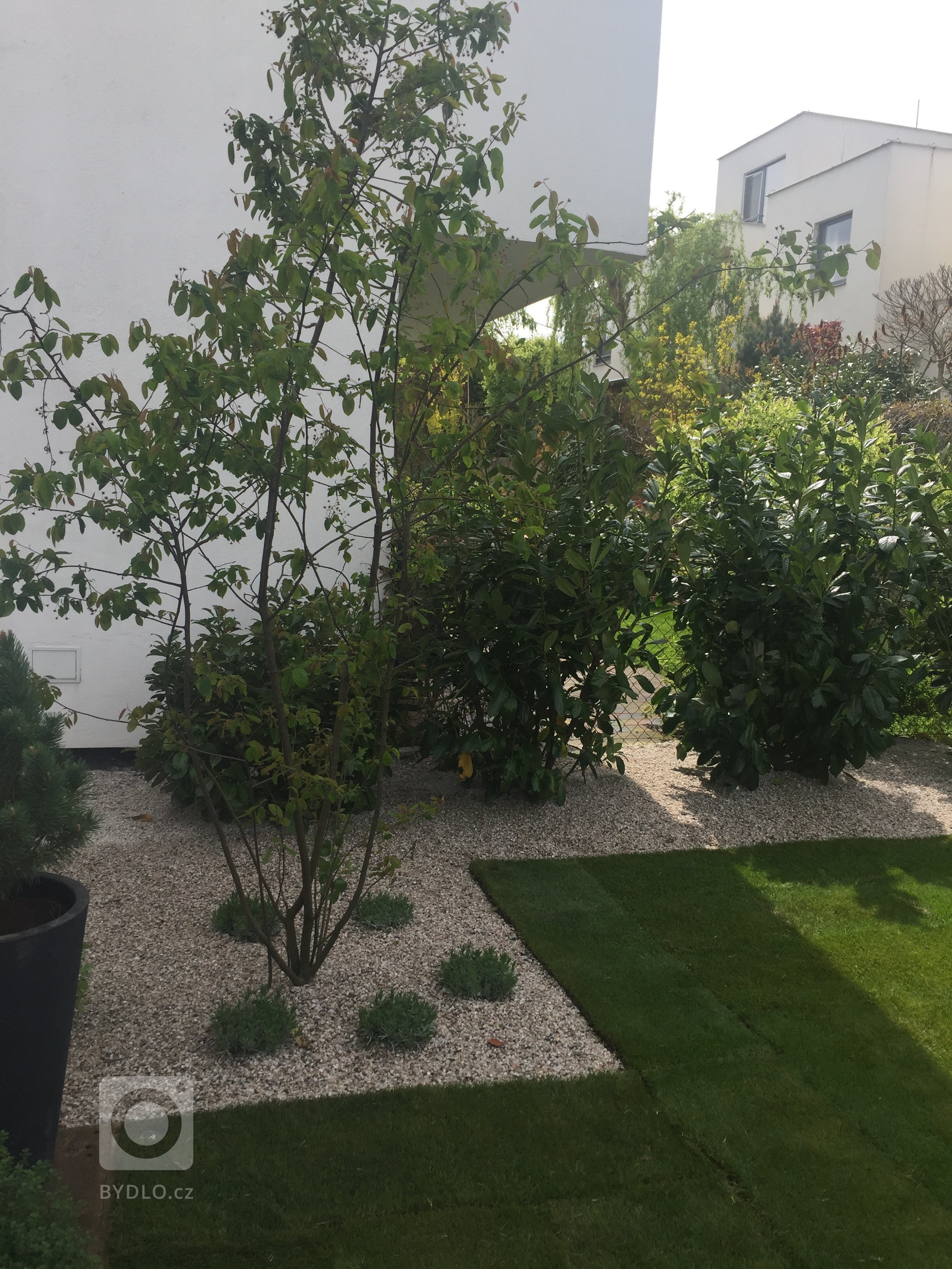 Mala moderni zahrada