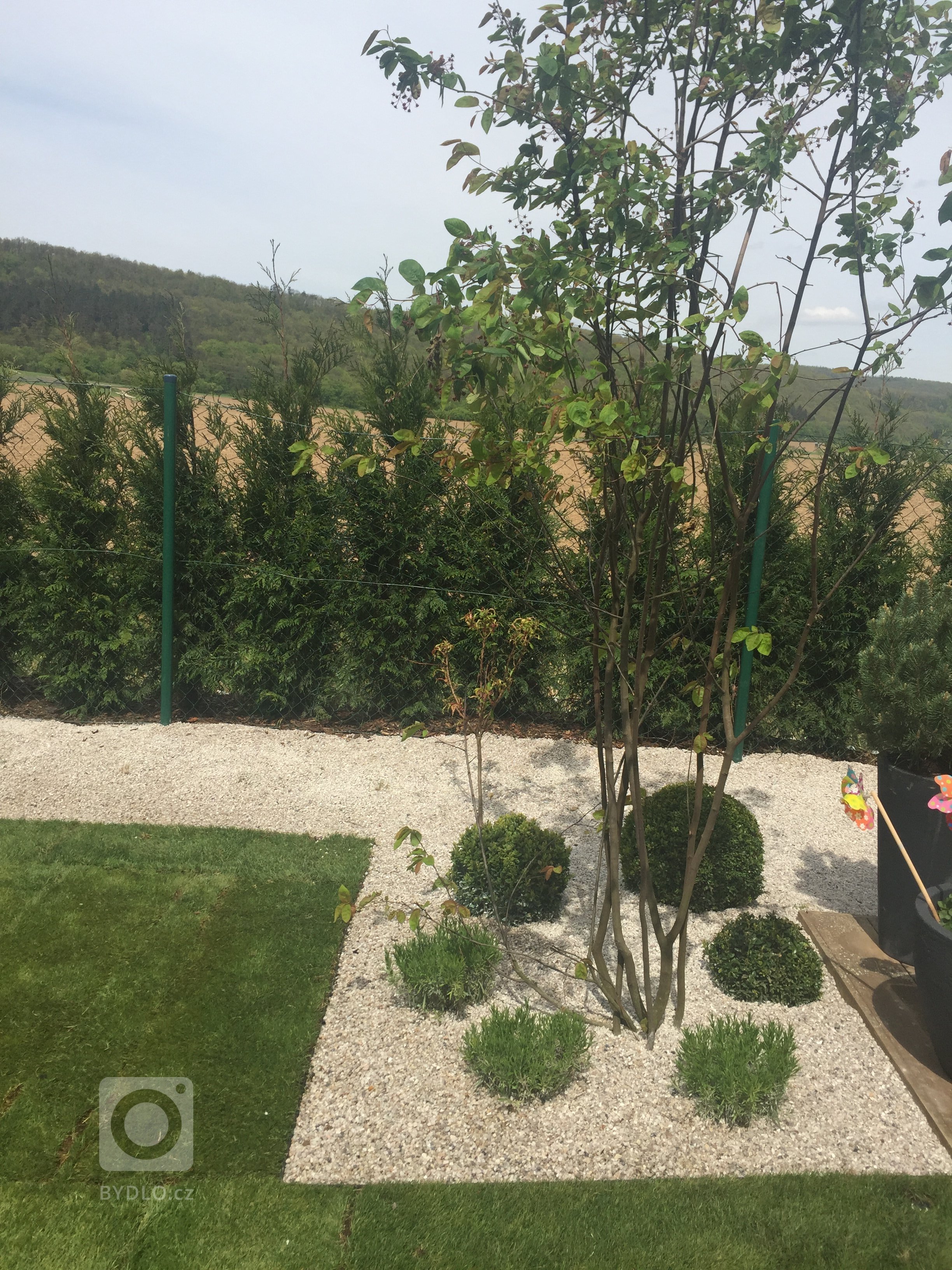 Mala moderni zahrada