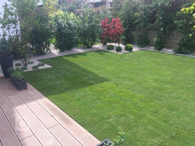 add picture to album