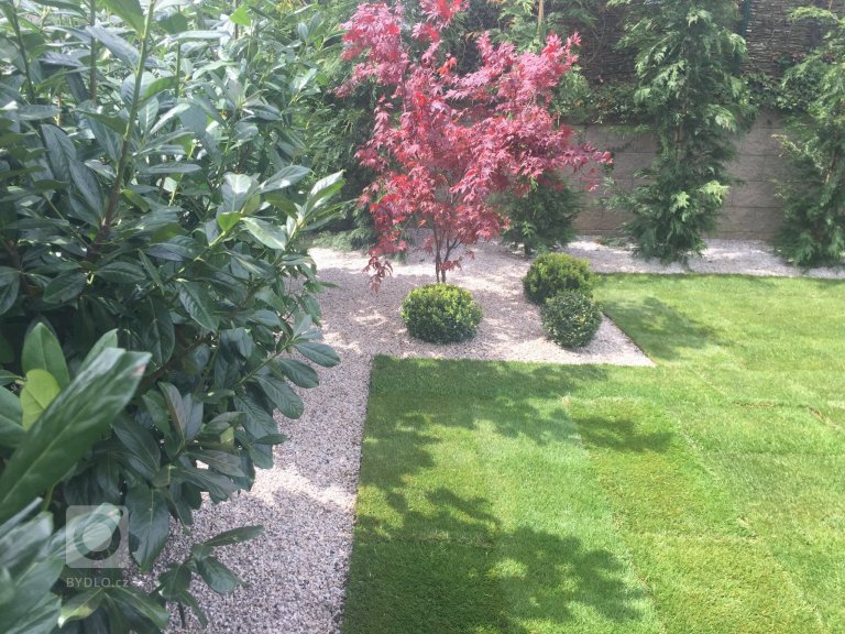 add picture to album