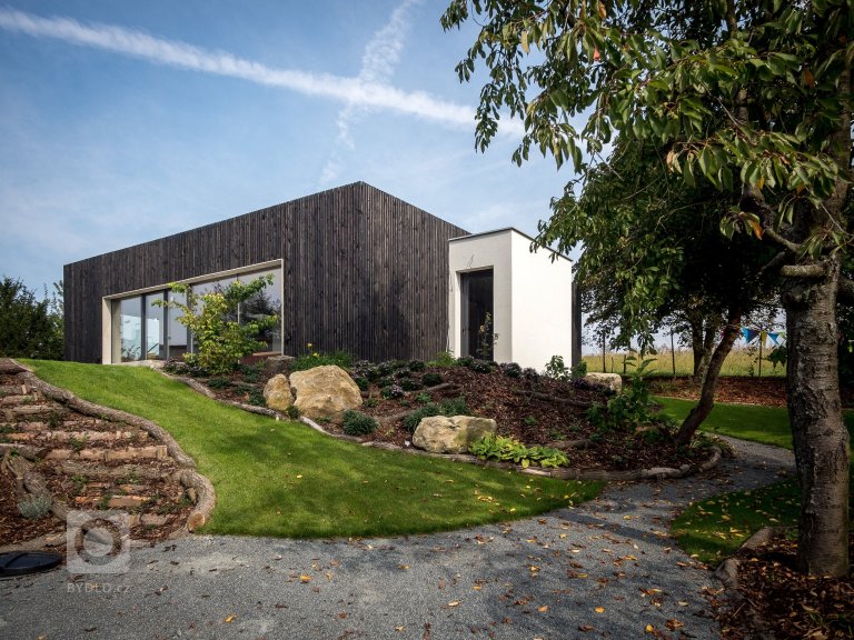 add picture to album