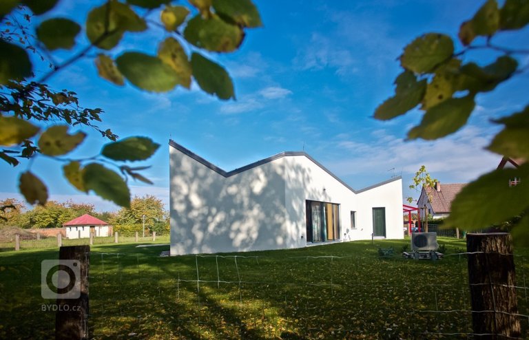 add picture to album